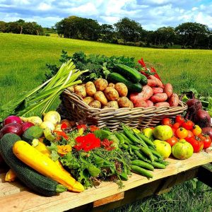 Ballylagan Organic Farm