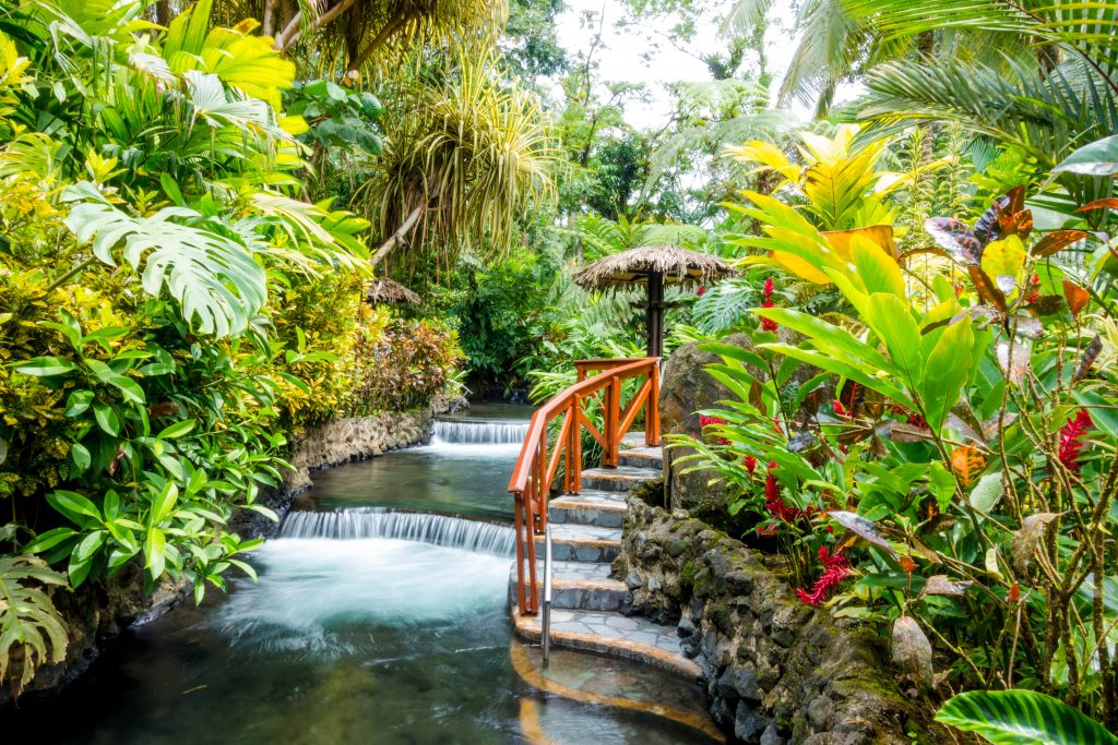 Rainforest Costa Rica