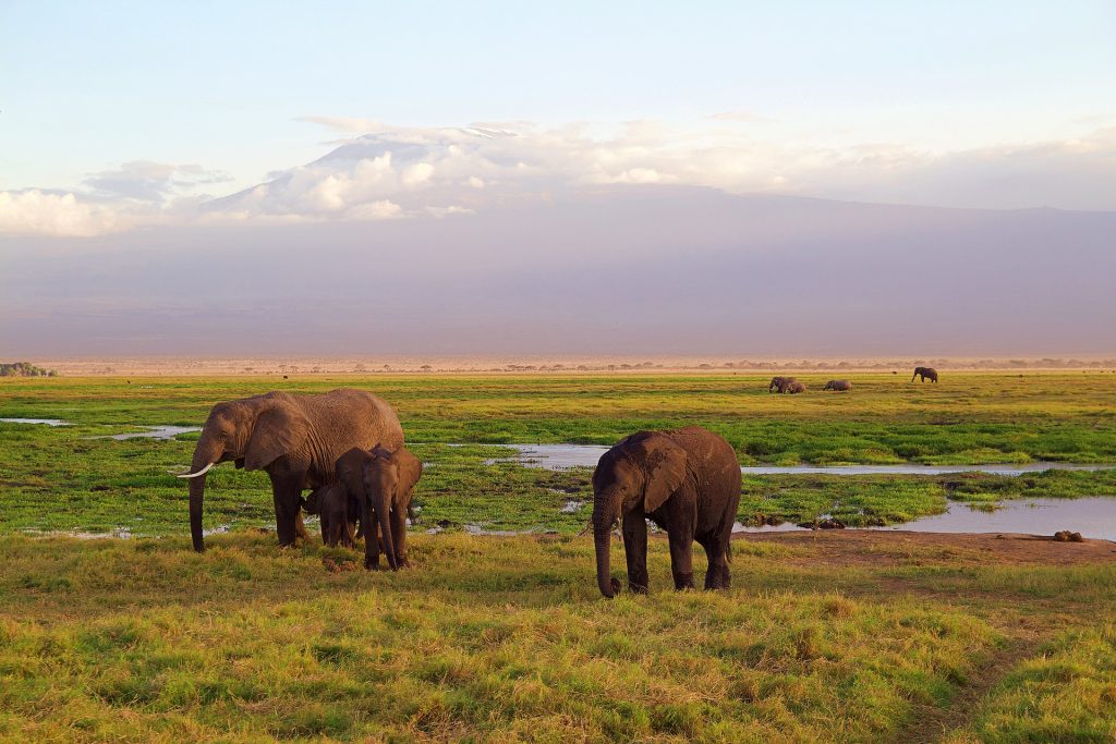 Kilimanjaro Tanzania
