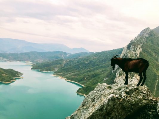Albania Comani lake
