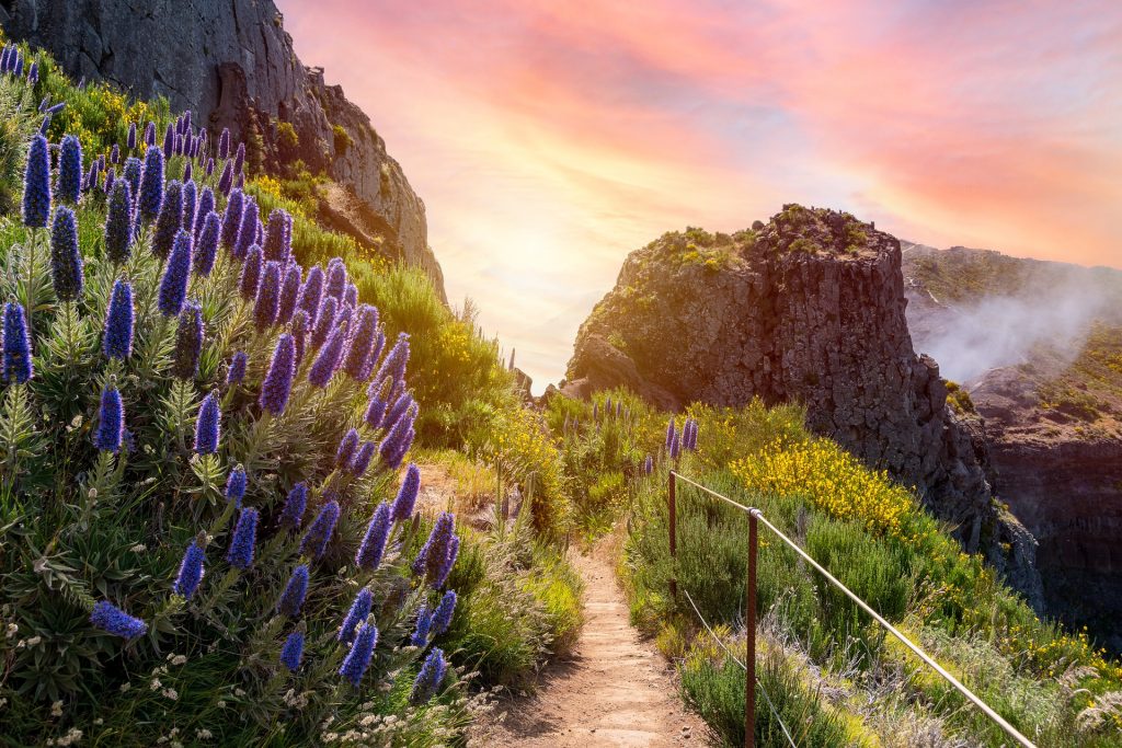 Madeira landscape