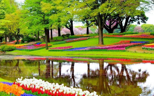 Netherlands Keukenhof
