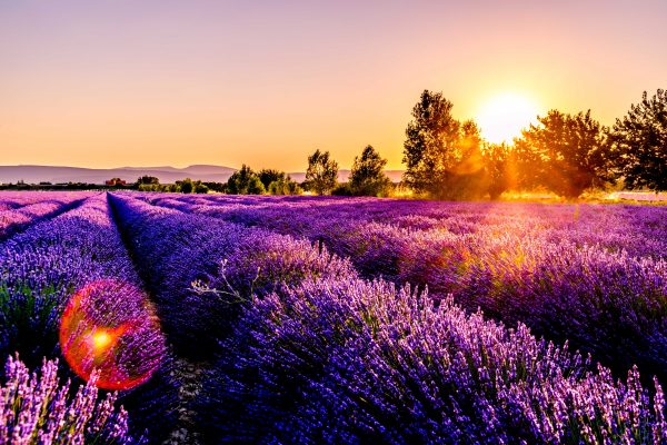 France Provence