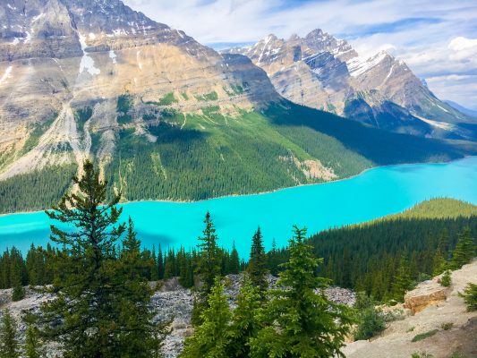 Canada Alberta Petyo lake