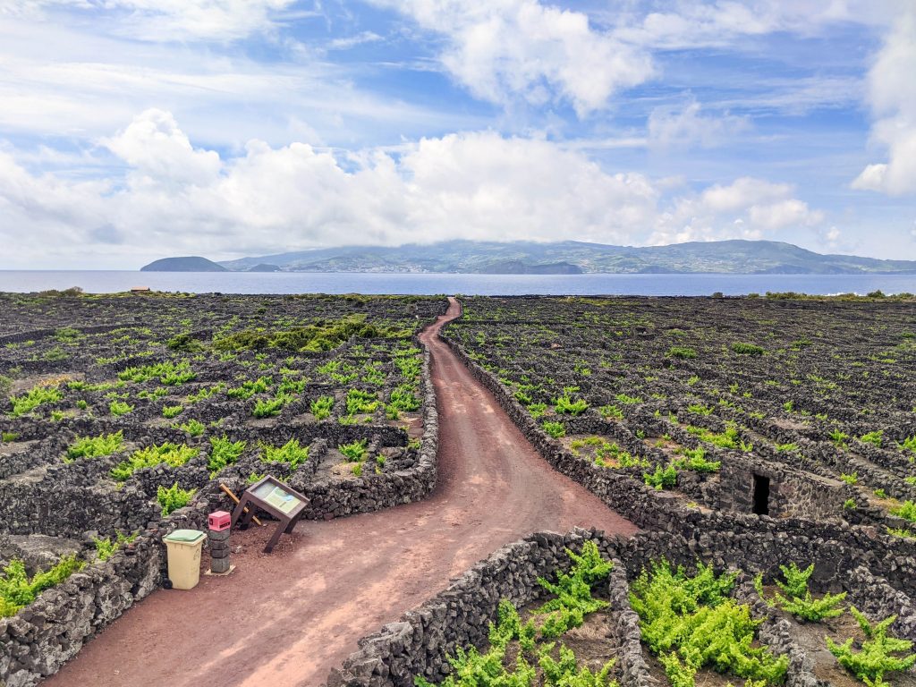 Portugal Azores Pico