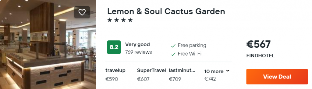Lemon & Soul Cactus Garden