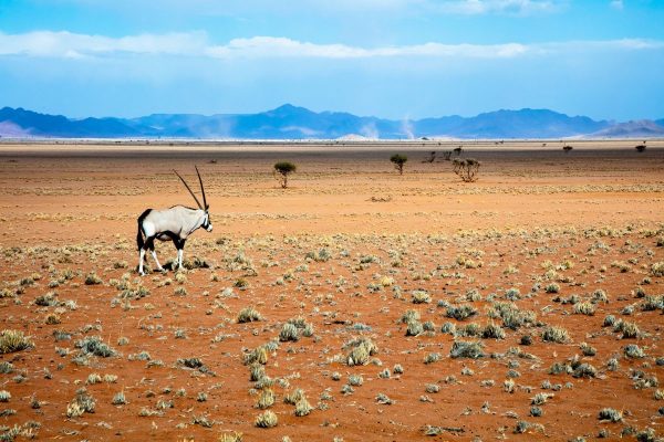 Namibia