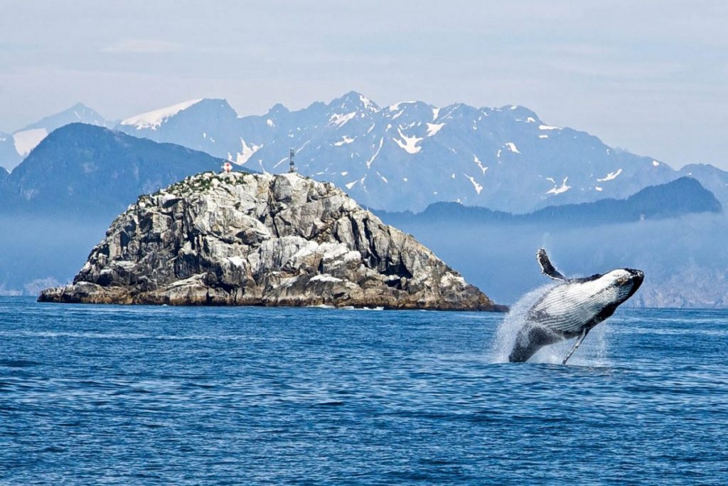 USA Alaska Kenai Fjords