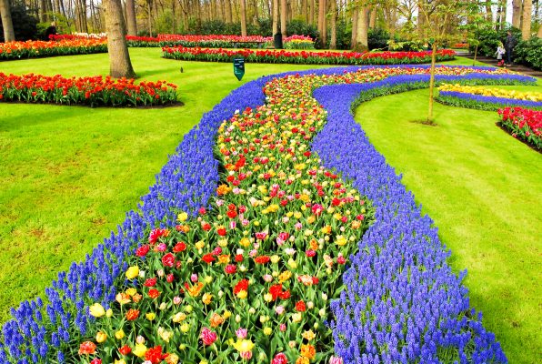 Netherlands Keukenhof