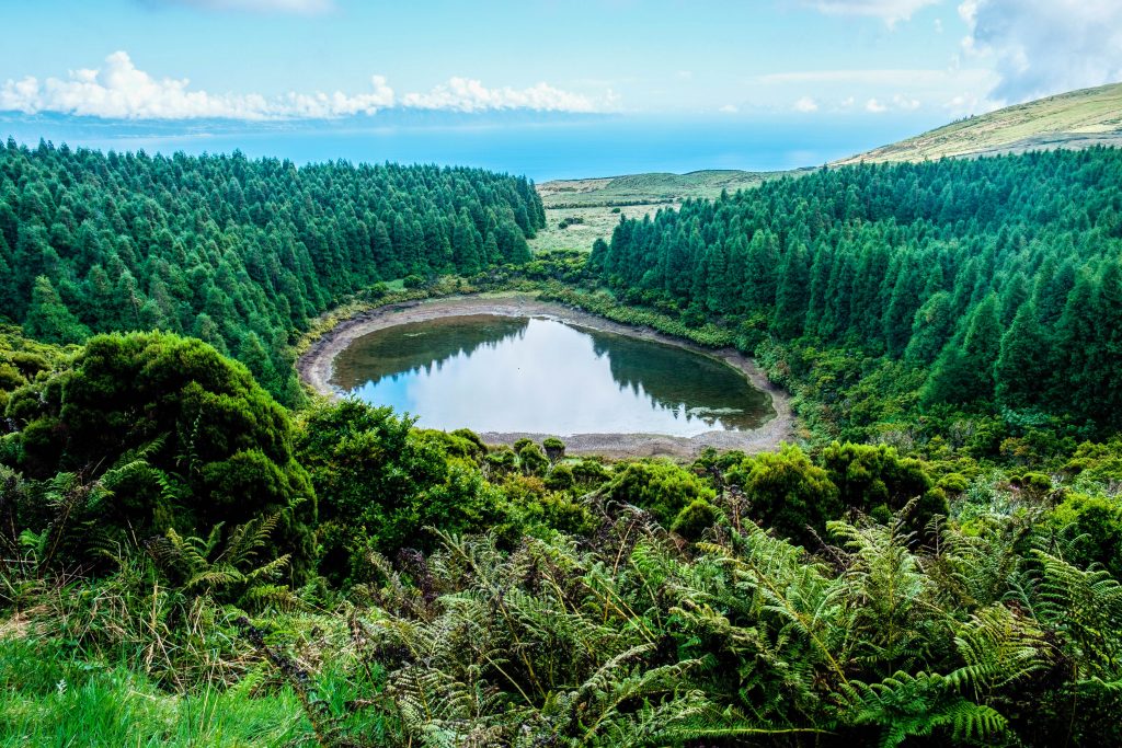 Portugal Azores Pico