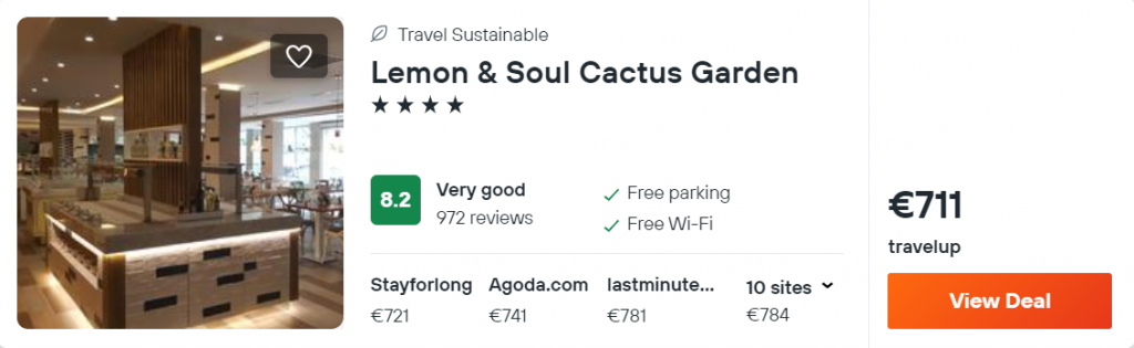 Lemon & Soul Cactus Garden