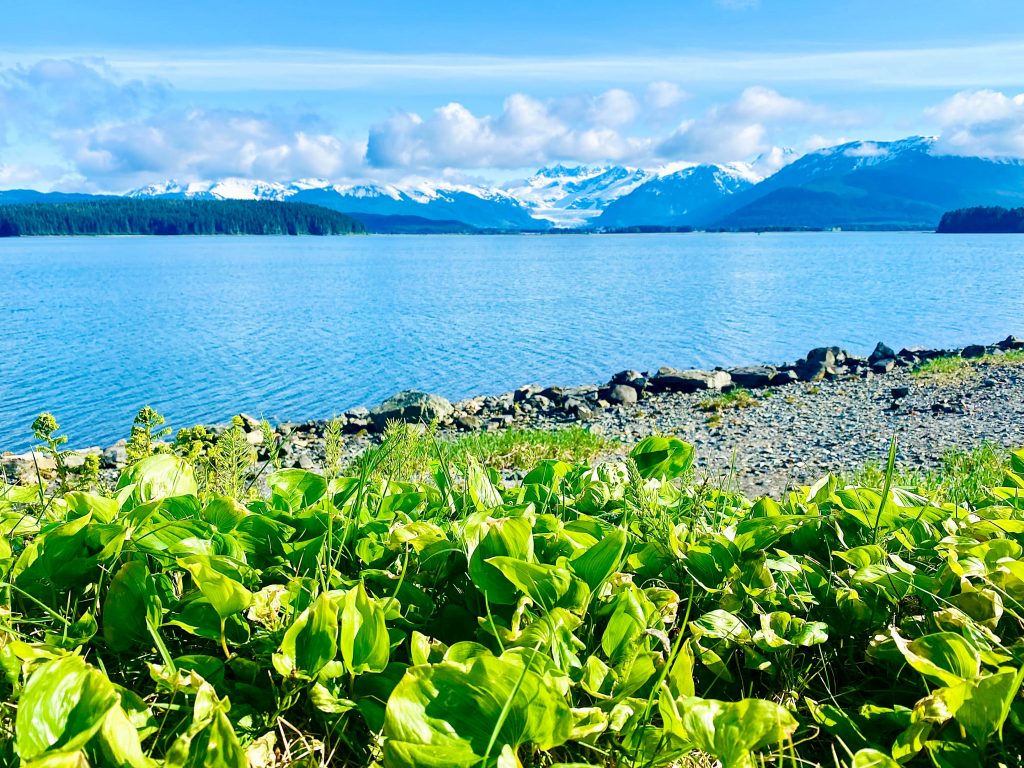 USA Alaska North Douglas