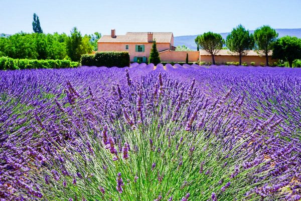 France Provence