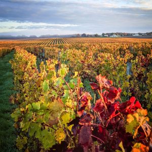 France Bordeaux