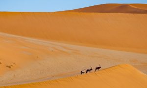 Namibia pixabay