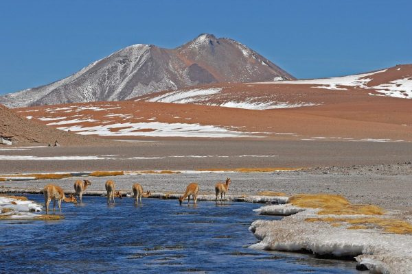 Chile Atacama