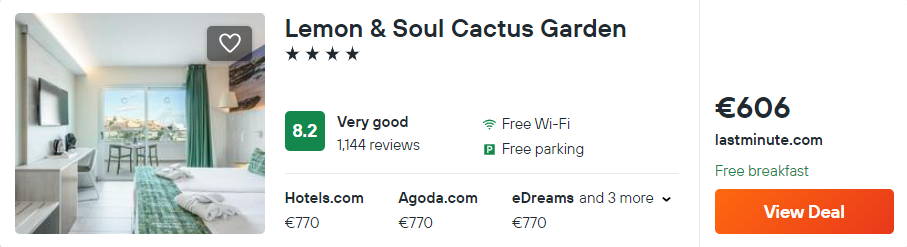 Lemon & Soul Cactus Garden