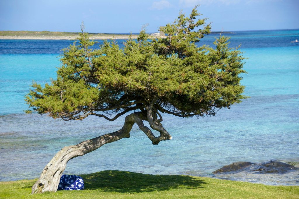 Italy Sardinia Stintino unsplash