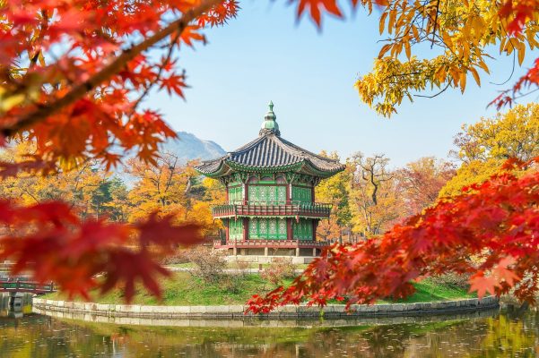 South Korea pixabay