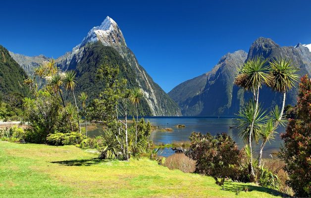 New Zealand pixabay