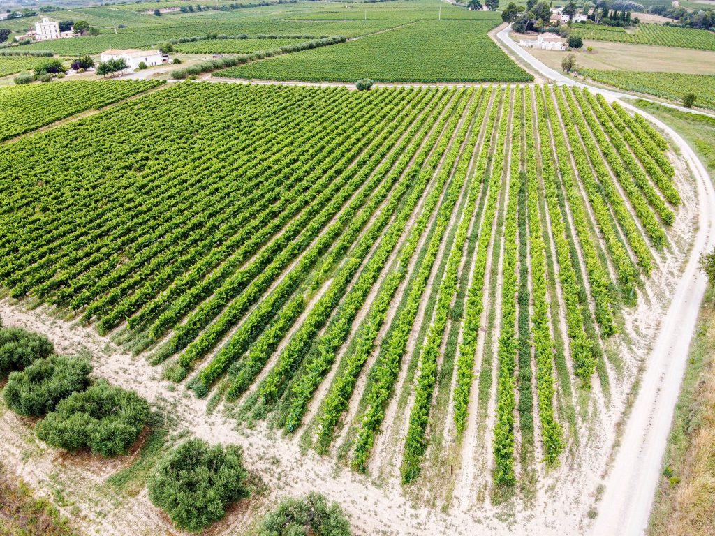 Spain Catalonia Vilafranca del Penedès unsplash