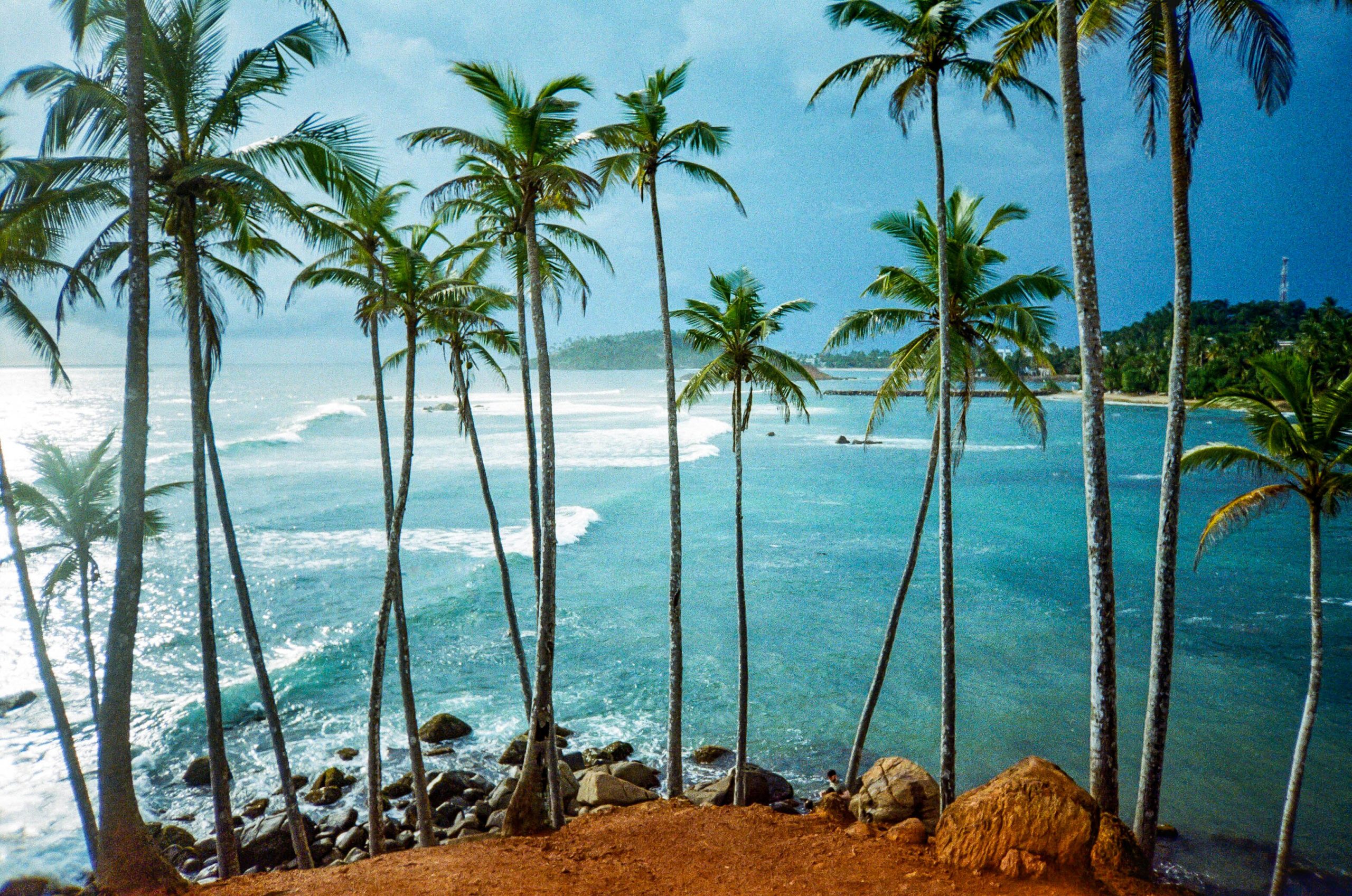Sri Lanka Coconut Tree Hill unsplash