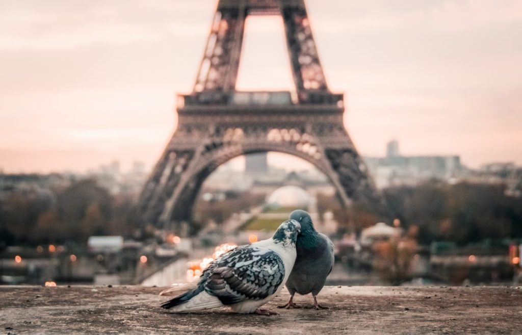 France Paris