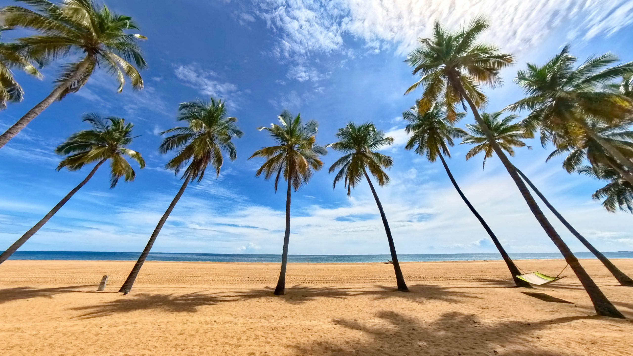 Sri Lanka unsplash