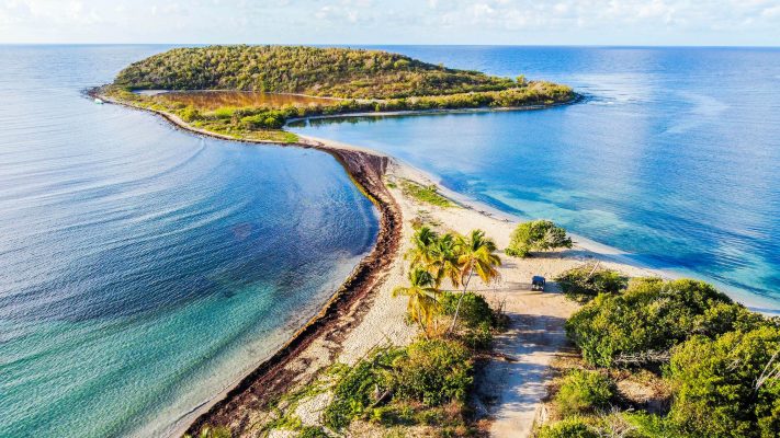 Puerto Rico Vieques unsplash