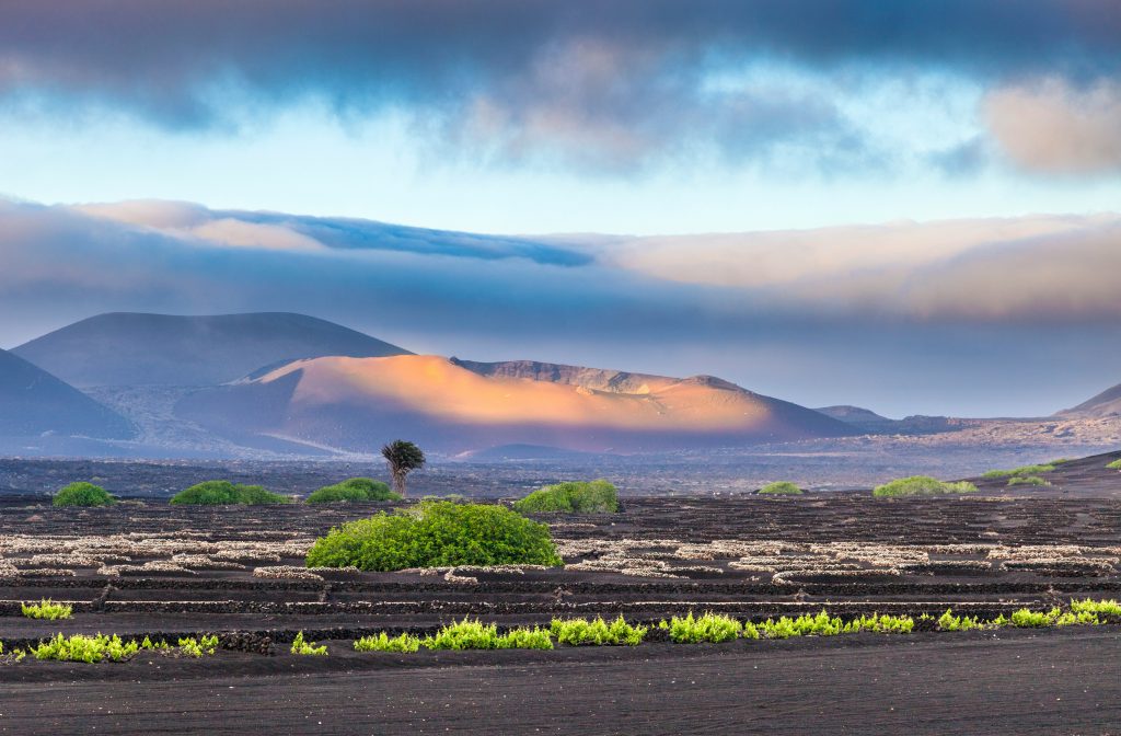 Spain Lanzarote unsplash