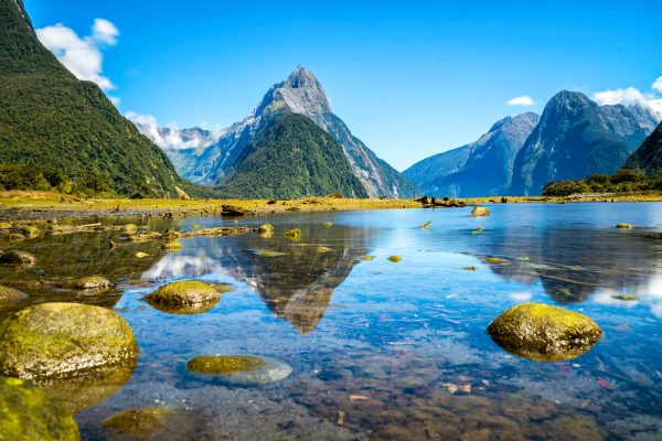 New Zealand unsplash