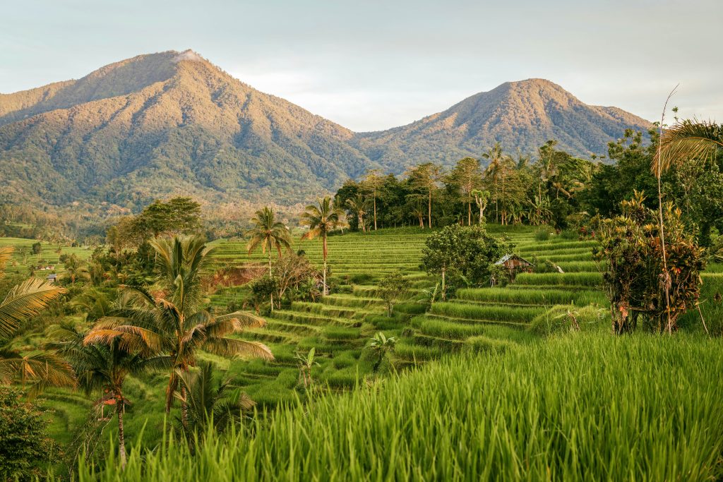 Indonesia Bali unsplash