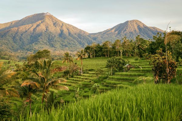 Indonesia Bali unsplash