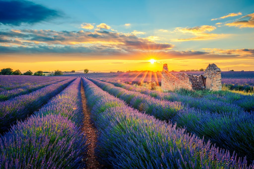 France Provence unsplash